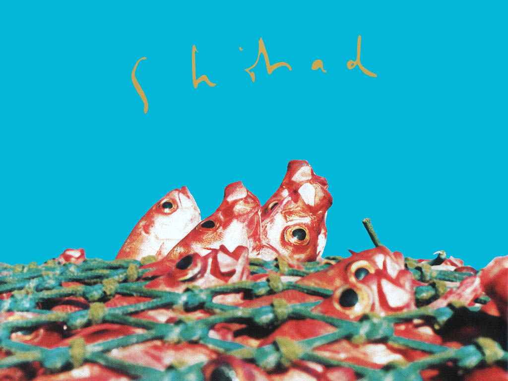 Fish w/Shihad 1024 1440